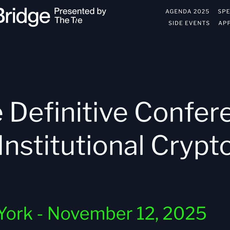 Cover Image for The Bridge | Prompted by Amphi