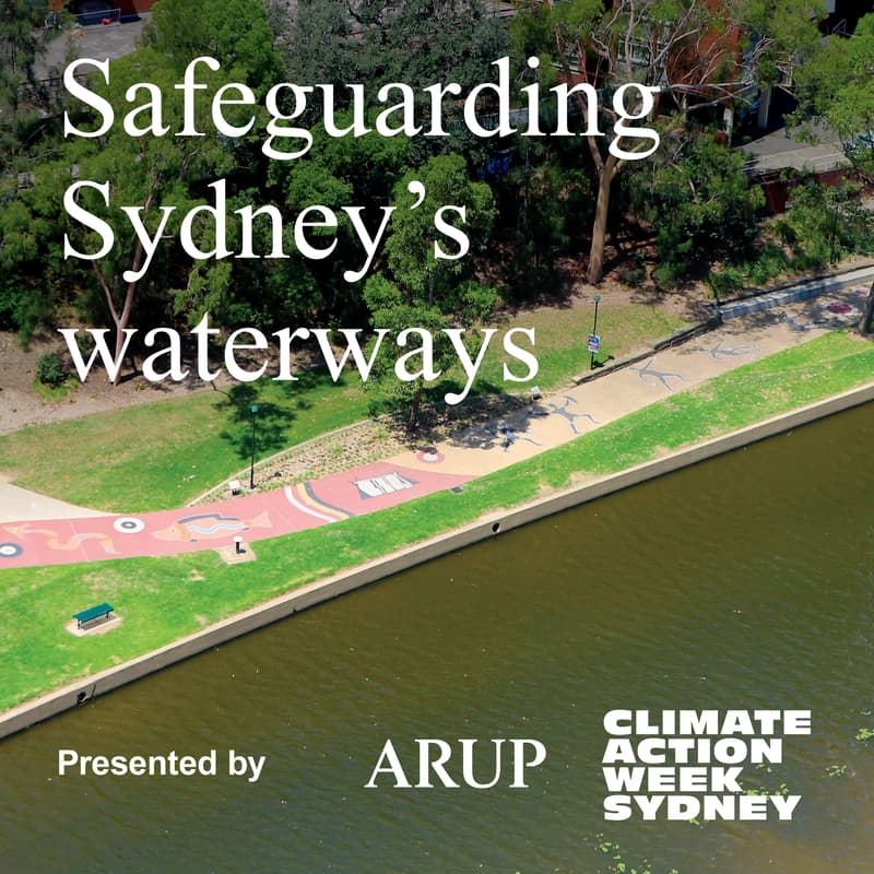 Cover Image for Safeguarding Sydney's waterways: sustainable ecosystems, biodiversity, and the great eel migration