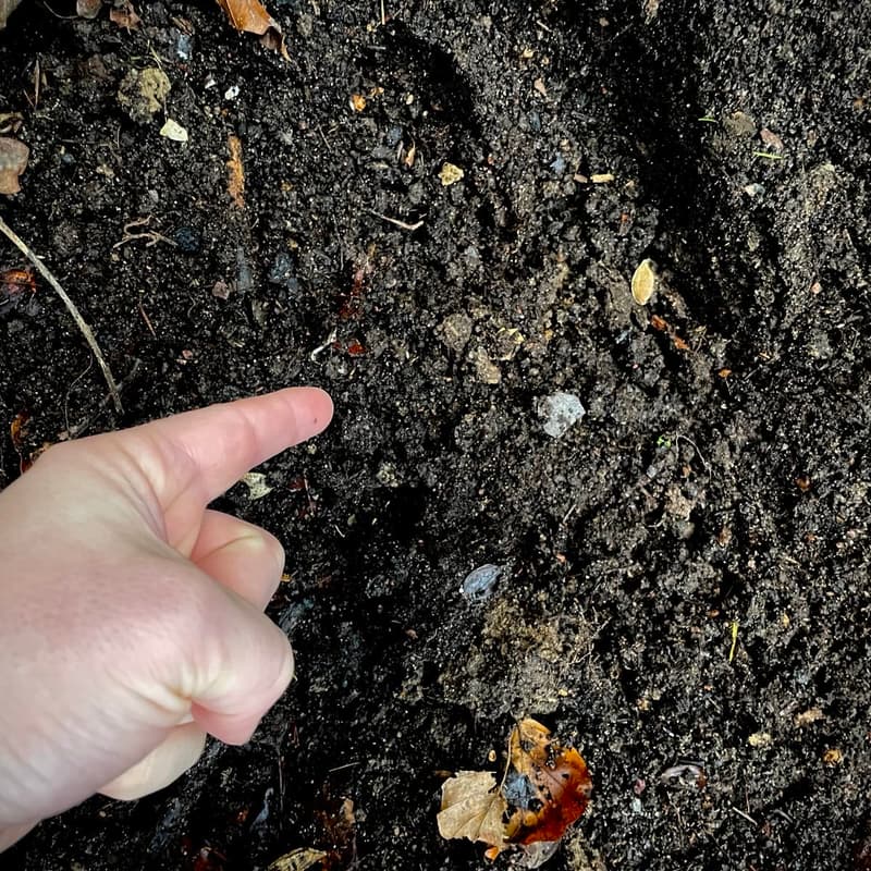 Cover Image for Darksoil Open House