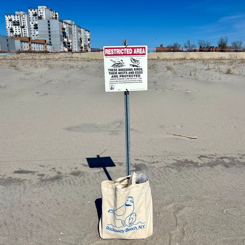 Cover Image for RBESNA Symbolic Fencing Installation with NYC Parks and NYC Plover Project
