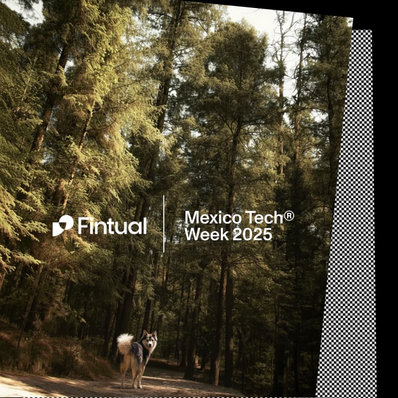Cover Image for Fintual Hike & Brunch