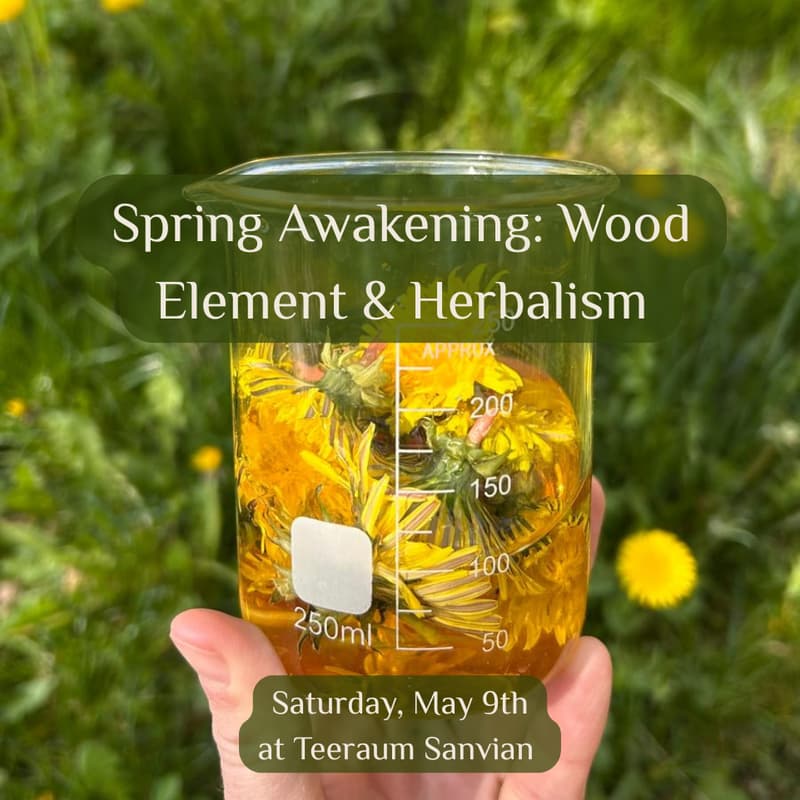Cover Image for Spring Awakening: Wood Element & Herbalism