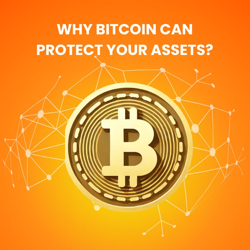 Cover Image for Topic: Why Bitcoin Can Protect Your Assets? [Seminar & Live QA]
