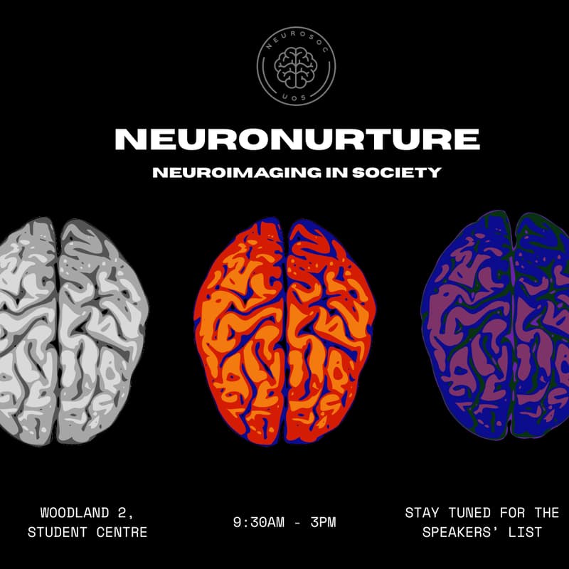 Cover Image for NeuroNurture : Neuroimaging in Society