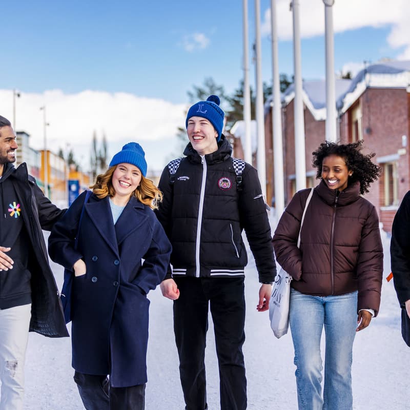 Cover Image for Studenterna Luleåregionen behöver