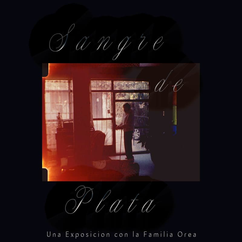 Cover Image for Sangre de Plata at CDMX Art Week