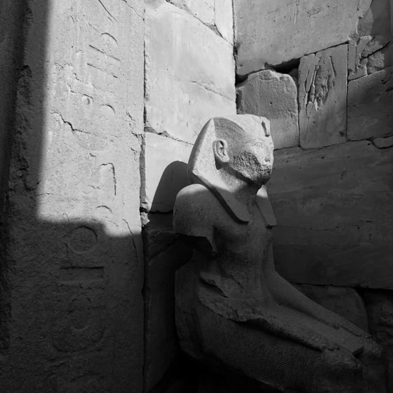 Cover Image for Raúl Sánchez Casado: “Reconstructing Old Kingdom Society through the Necropolis: The Invisible Networks Project”