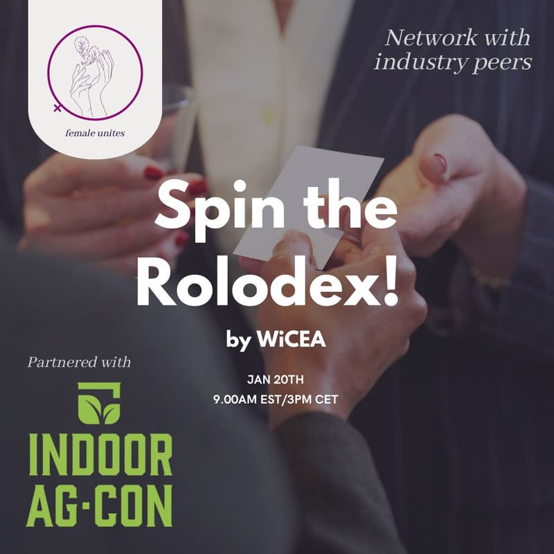 Cover Image for Spin The Rolodex