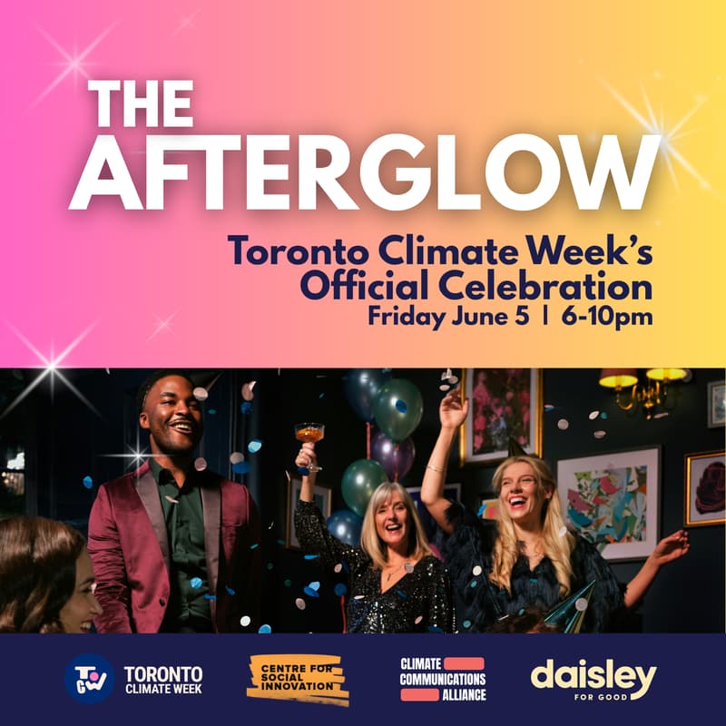 Cover Image for TOCW’s Official Celebration: The Afterglow