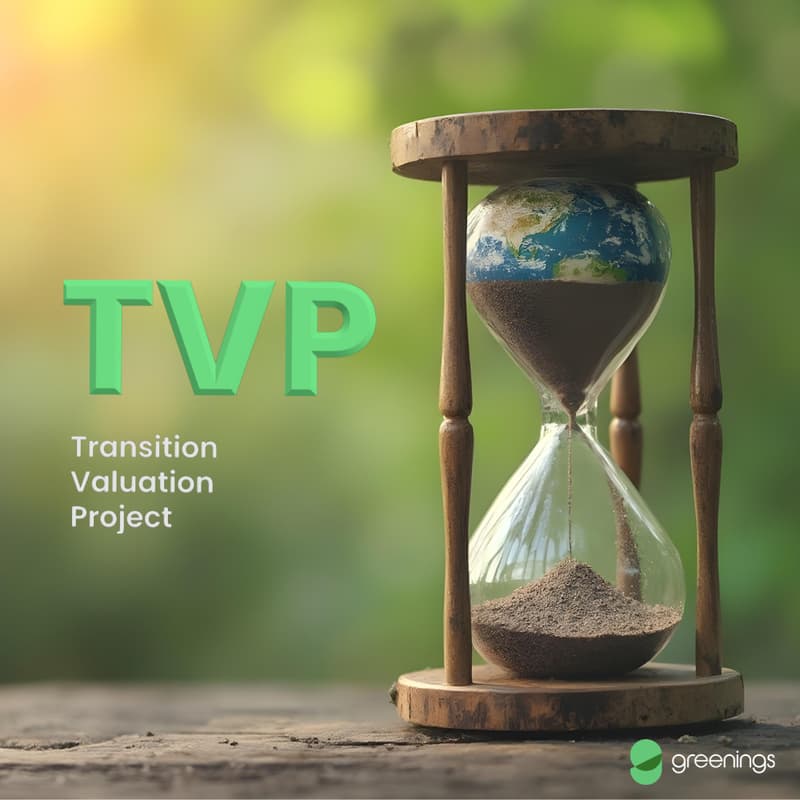 Cover Image for Exclusive Conversation - Valuing the Future: Winnable Strategies for Asset Owners to Reduce Overshoot and Create Value