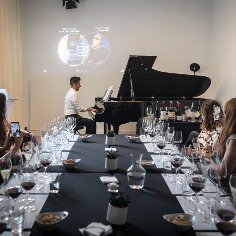 Cover Image for Melovinum: Wine meets music in the heart of Barcelona