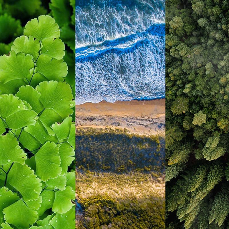 Cover Image for Every Job Can Be a Climate Job
