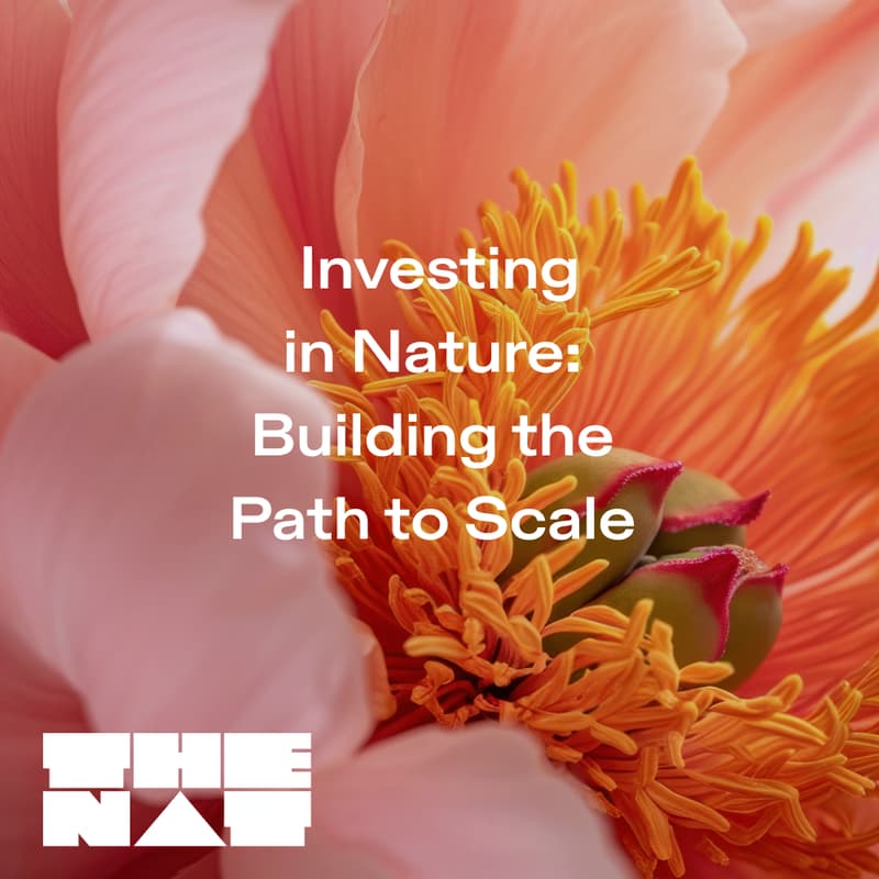 Cover Image for Investing in Nature: Building the Path to Scale