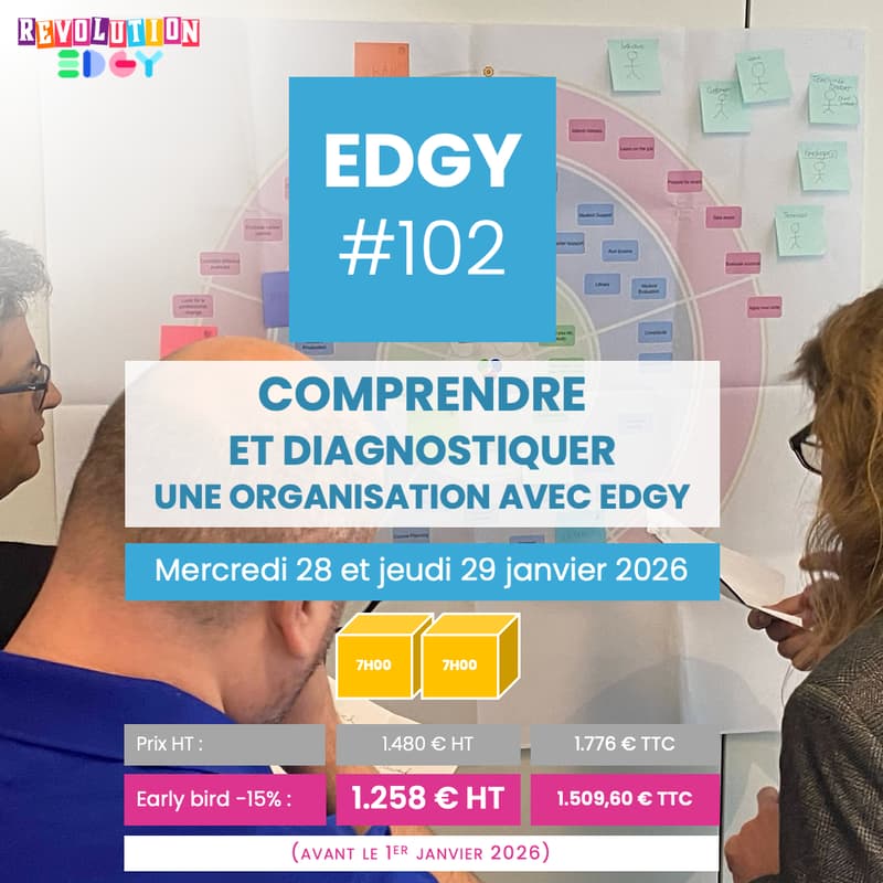 Cover Image for Comprendre et diagnostiquer une organisation avec EDGY