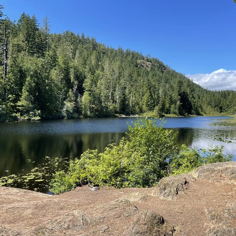 Cover Image for Peden Lake Trail: Hike to a waterfall and lake views🌲