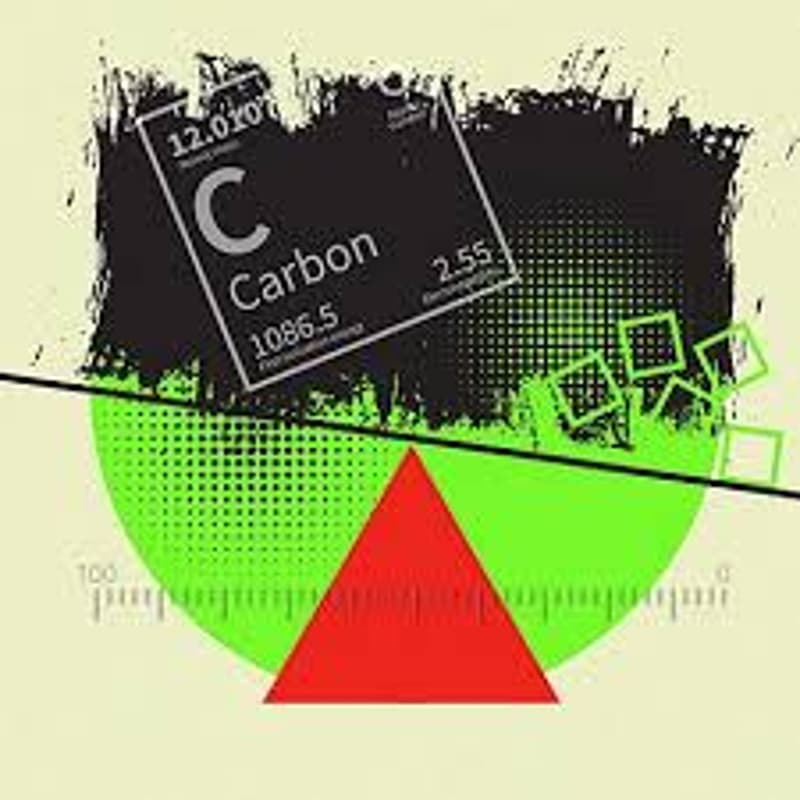 Cover Image for Carbon Markets 2.0 - From Voluntary Markets to Compliance-Driven Demand