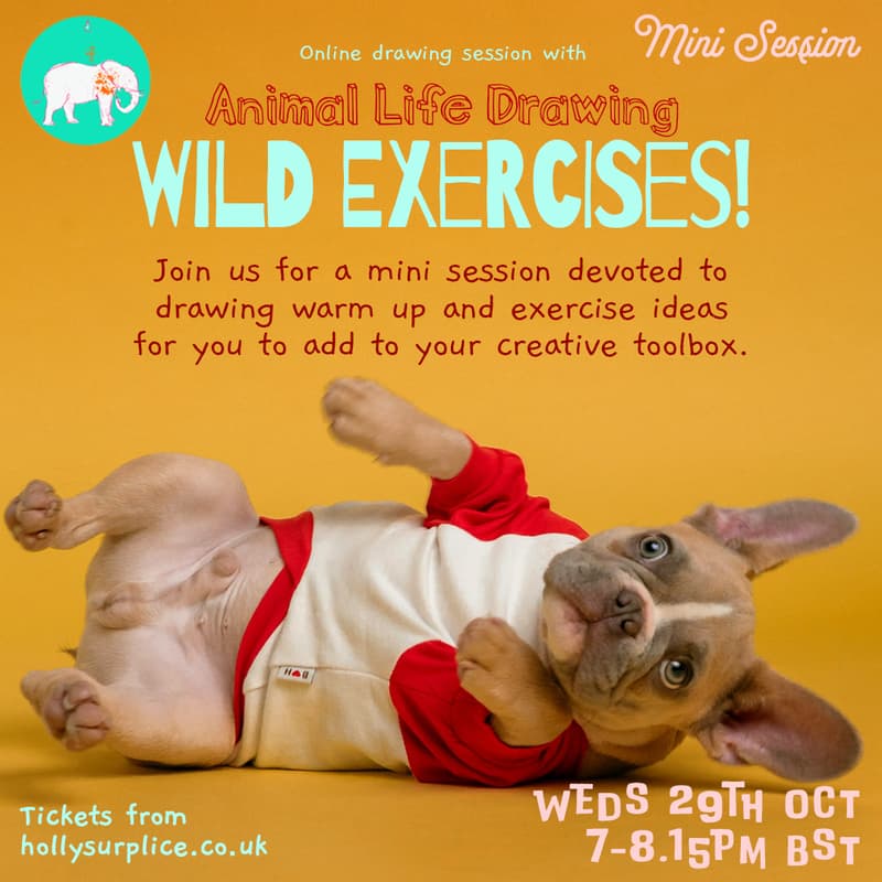 Cover Image for Wild Exercises MINI Draw