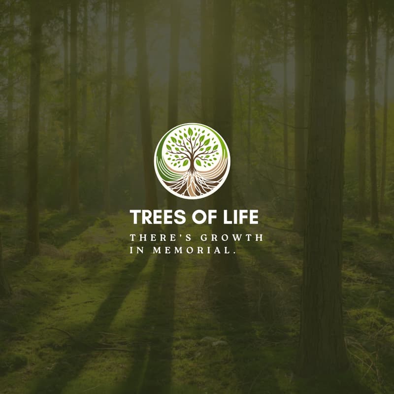 Cover Image for Memorial Tech TO