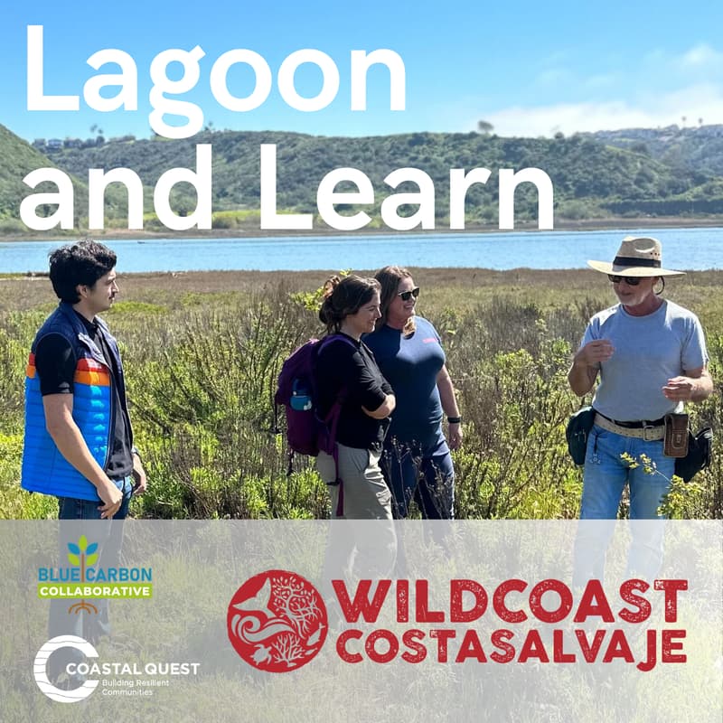 Cover Image for Lagoon and Learn: A Blue Carbon Walk around Batiquitos Lagoon