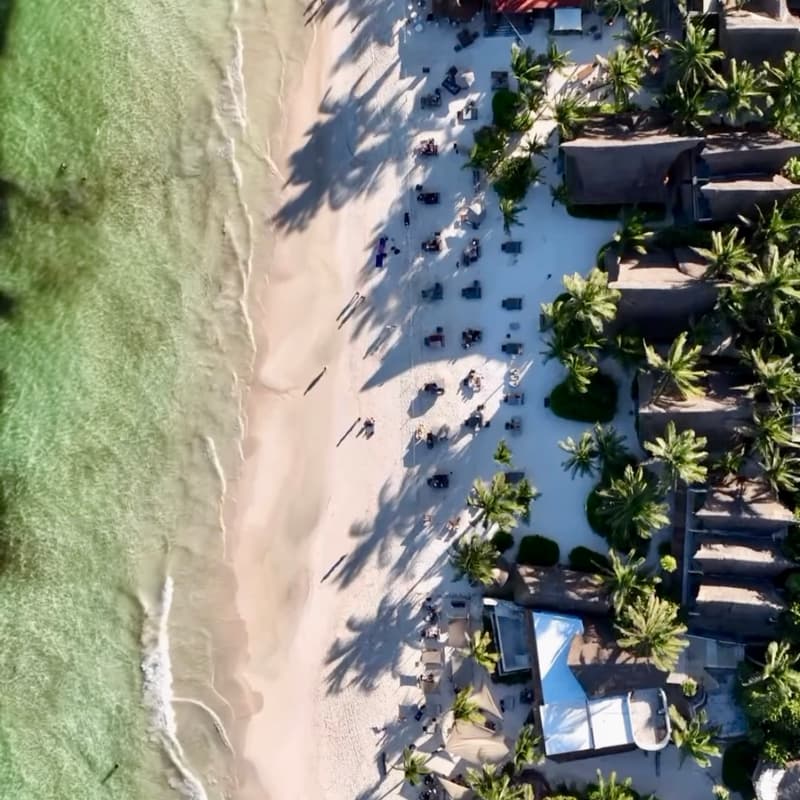 Cover Image for Reunión Mensual del Club en Tulum