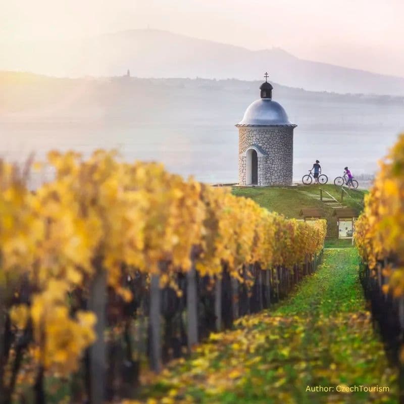 Cover Image for Meet the Winemakers: Czech Wine Masterclass in Washington, D.C.