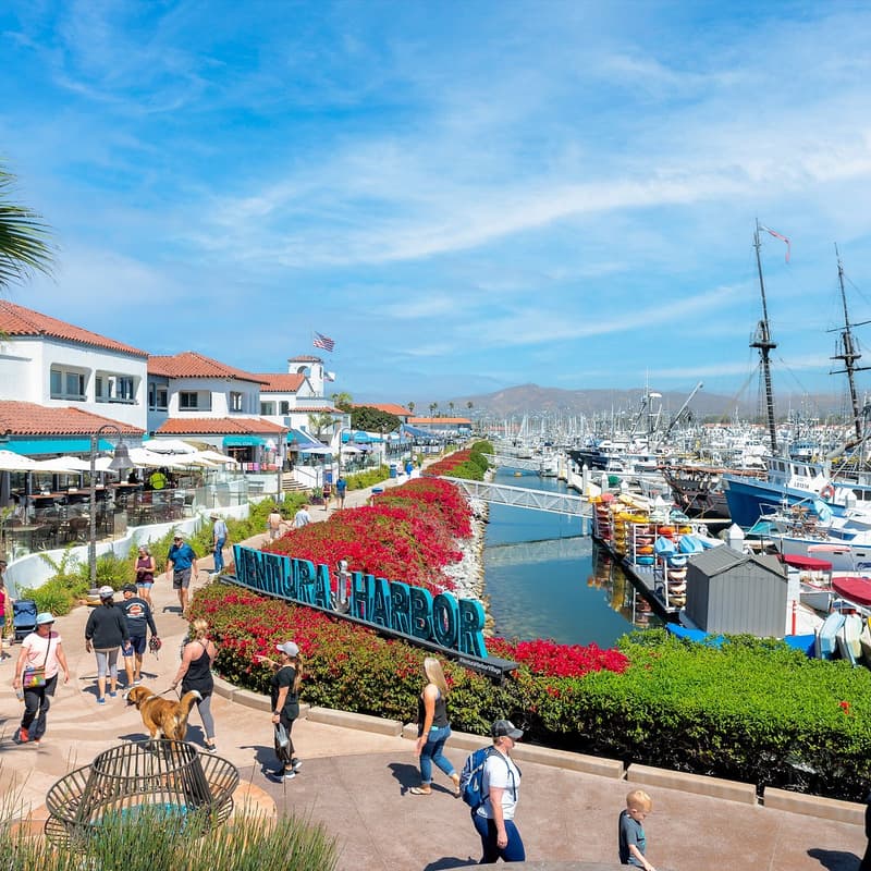 Cover Image for Ventura, CA Idealist Planning Session 4/4