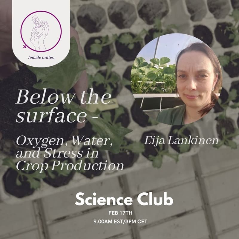 Cover Image for Science Club: Below the Surface