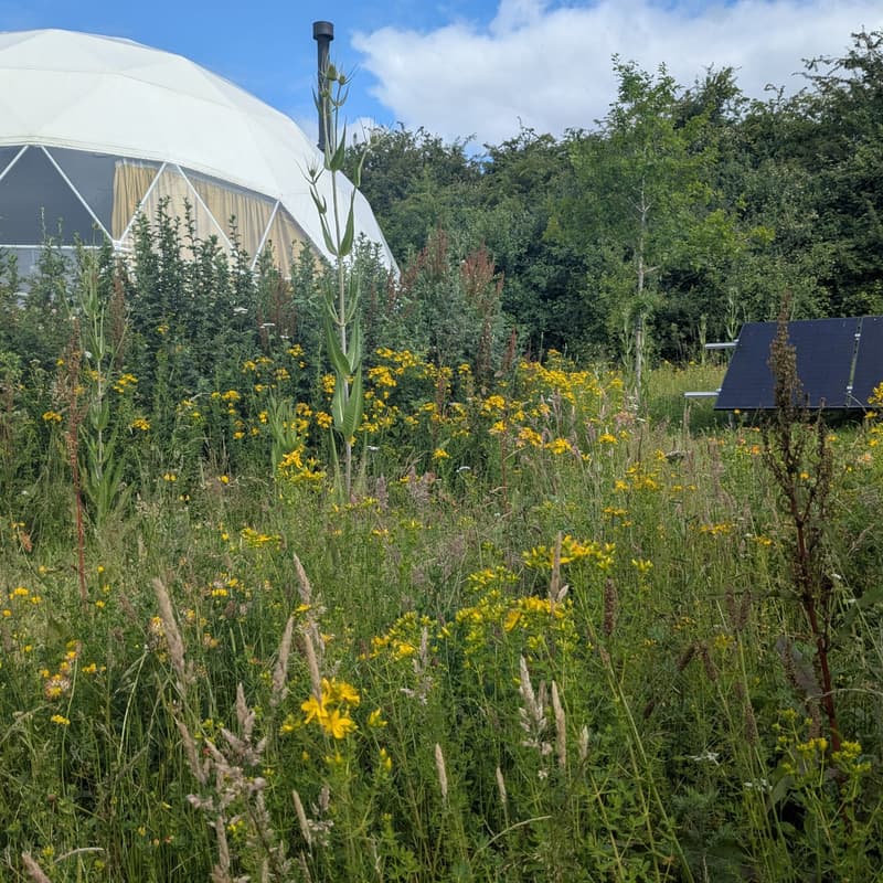 Cover Image for Retreat - Sound Bath and Sauna (including Leaf Whisking) with The Sauna Works - WINCHESTER PM SESSION