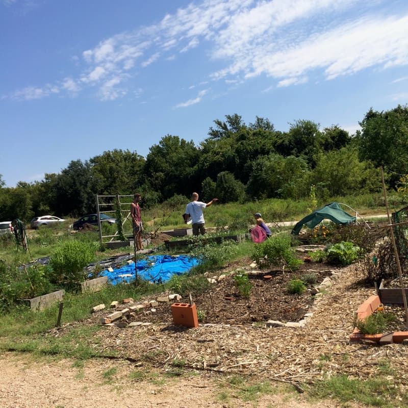 Cover Image for SDFCG Feb Garden Workday