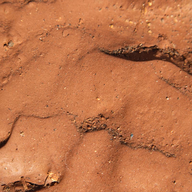 Cover Image for The Sanctuary: Tea, Clay & Provenance (Private Session)