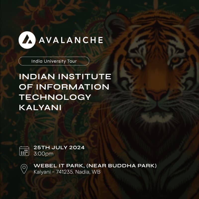 Cover Image for India University Tour With Avalanche 