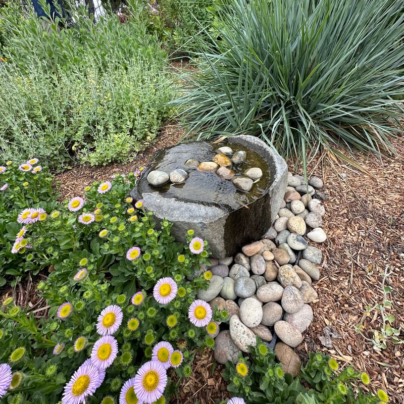 Cover Image for A “How To” California Native Garden Workshop with Guest Designer Sophie Pennes! More info at https://lu.ma/plantnativelc202405