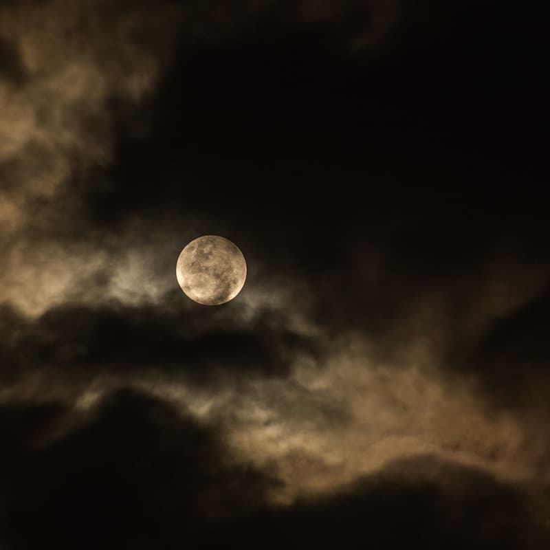 Cover Image for Full Moon Magic - Breathwork & Sound Healing - at Our Nest in CDMX