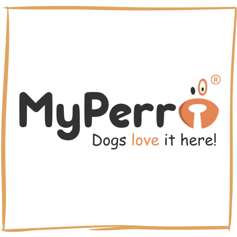 Cover Image for MyPerro on Shark Tank India - Watch Party @ Residency Bangalore