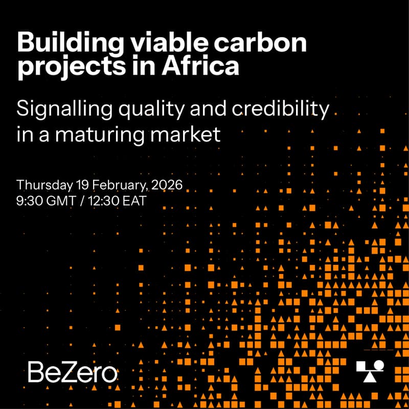 Cover Image for Building viable carbon projects in Africa