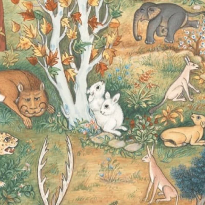 Cover Image for The Animals Lawsuit Against Humanity