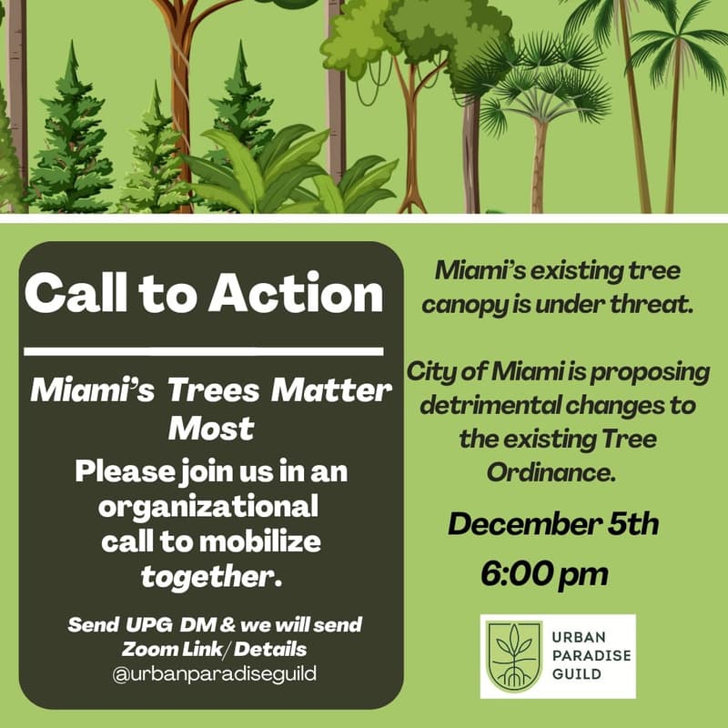 Cover Image for Miami’s Trees Matter Most