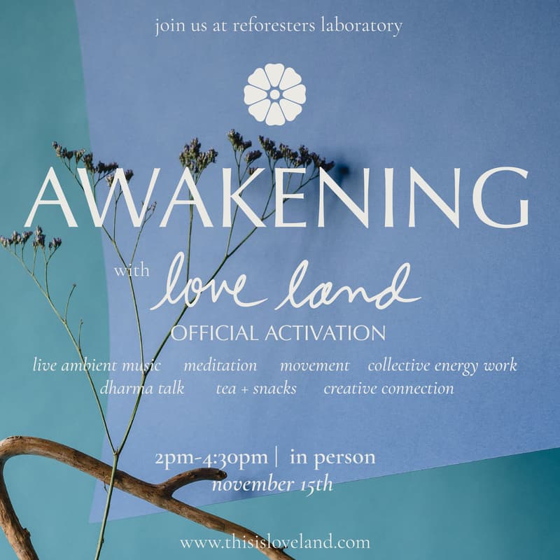 Cover Image for Love Land: Awakening