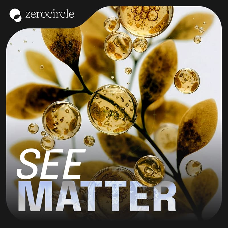Cover Image for See Matter: Material Conversations for the Future
