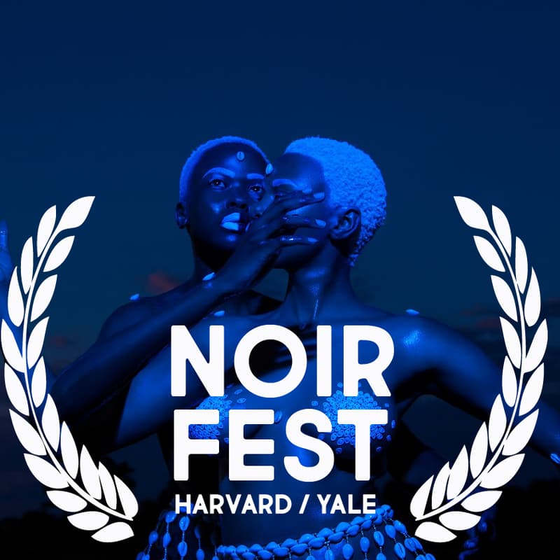 Cover Image for NOIR FEST: Art as Cultural Software