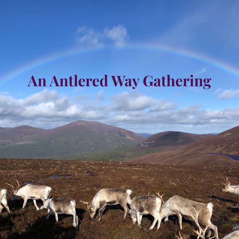 Cover Image for Tend: An Antlered Way Circle Gathering