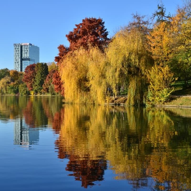 Cover Image for Tura de duminică Herăstrău x COFFeEAST, ediție specială