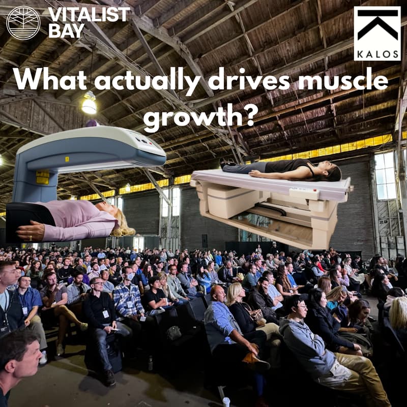 Cover Image for Muscle Growth and Fat Loss for Longevity