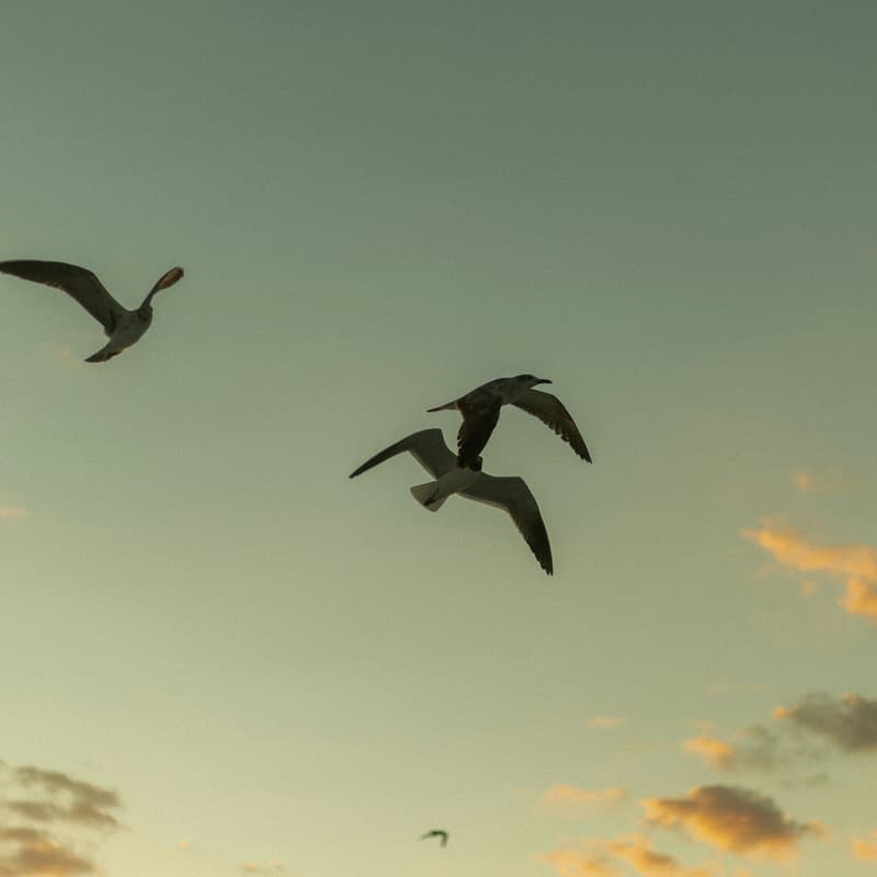 Cover Image for conscious co-work