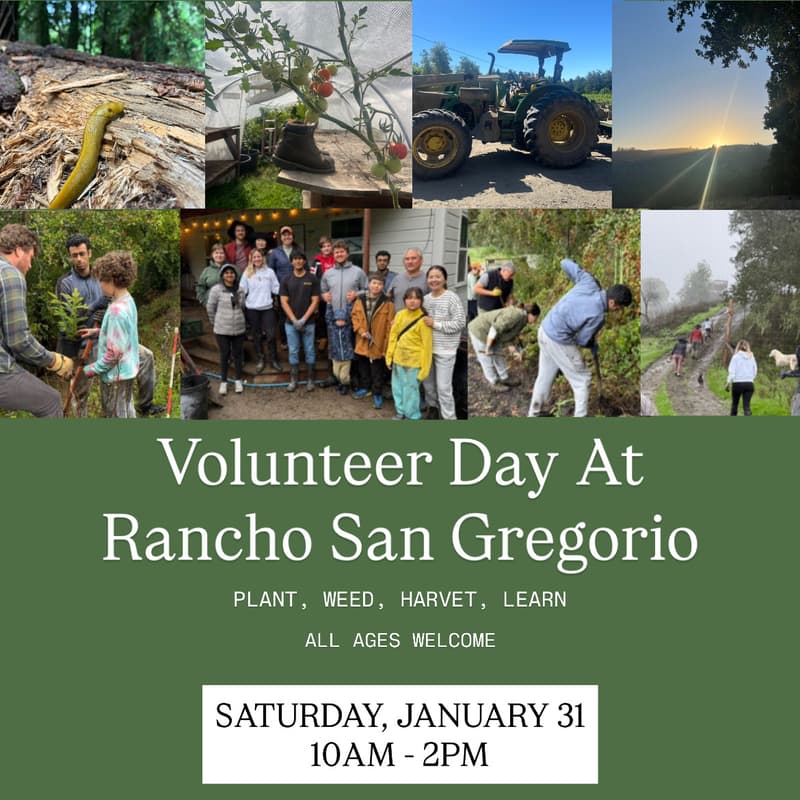Cover Image for Volunteer Day At Rancho San Gregorio
