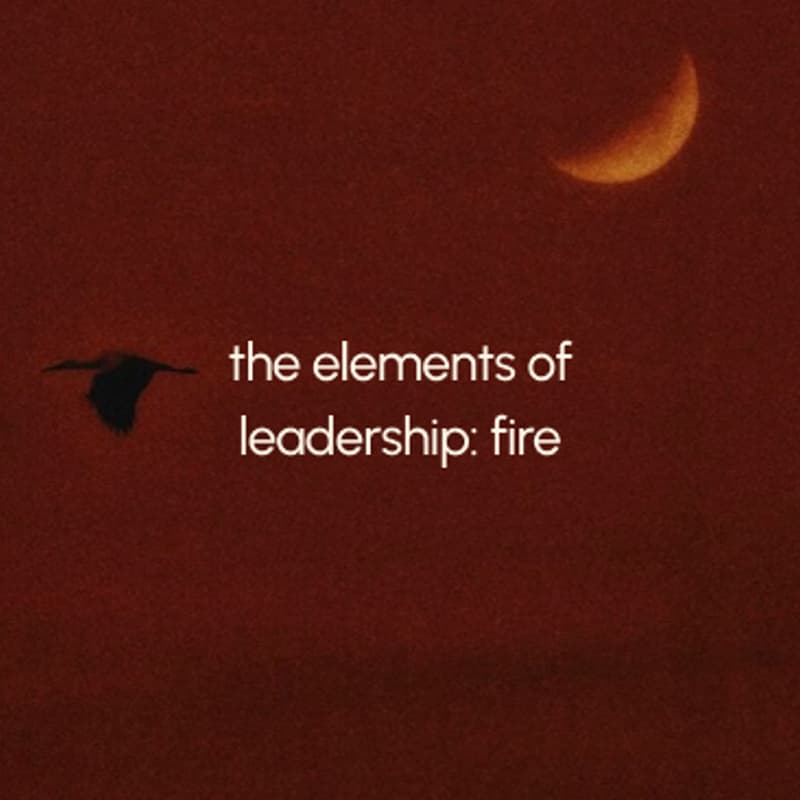 Cover Image for the elements of leadership: fire