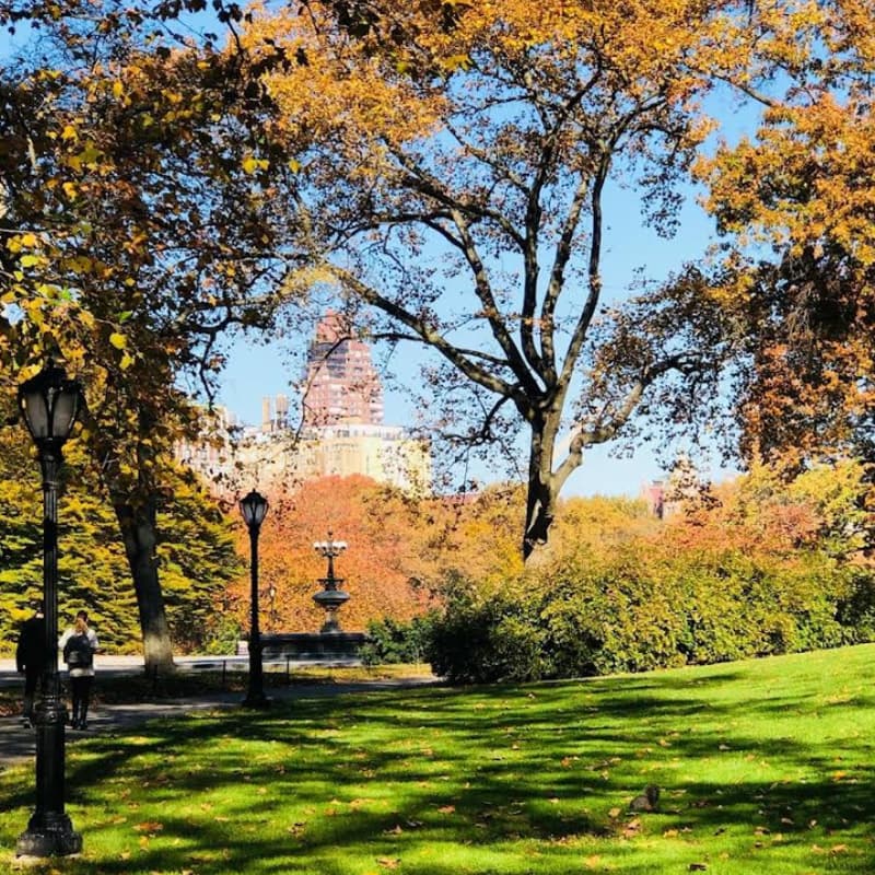 Cover Image for Monday Webflow Pre-Conf Run/Walk/Hang