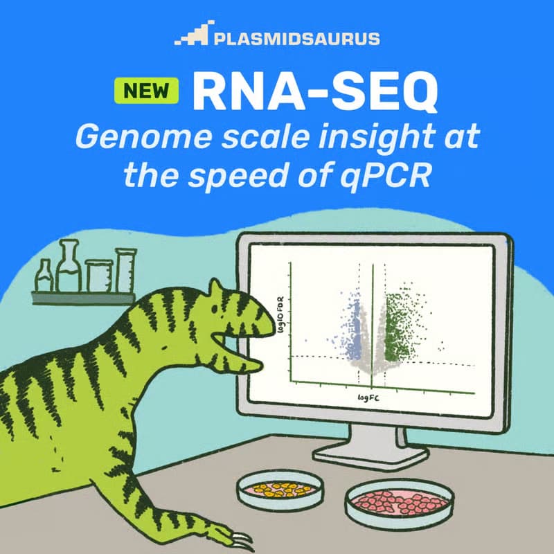 Cover Image for Plasmidsaurus @ ICMM, KU Copenhagen