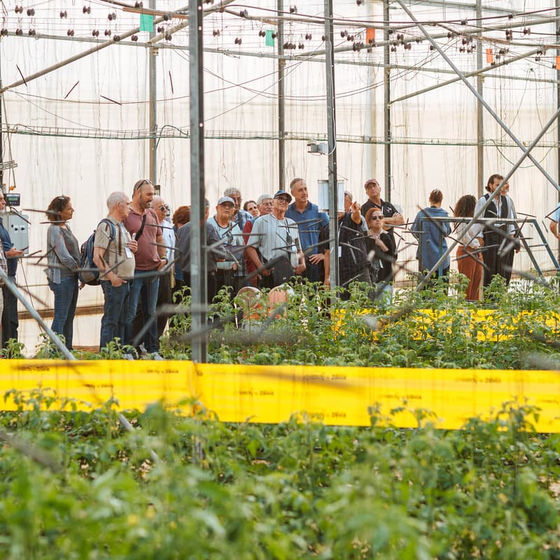 Cover Image for מפגש חשיפה לחוקרים - מו"פ רמת הנגב