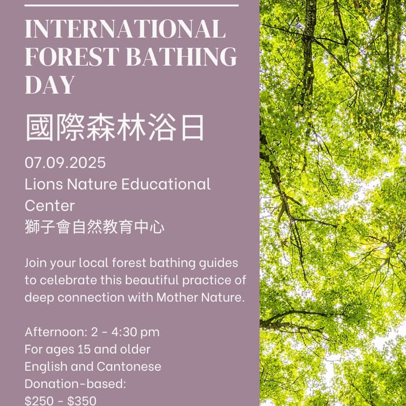 Cover Image for International Forest Bathing Day - Sai Kung (Afternoon session) / 國際森林浴日(西貢-下午場)